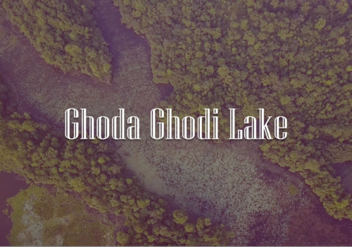 Chisapani and Ghodaghodi Lake | West Nepal Tour |